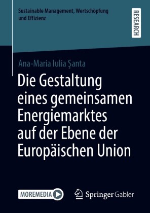 Die Gestaltung eines gemeinsamen Energiemarktes auf der Ebene der Europäischen Union