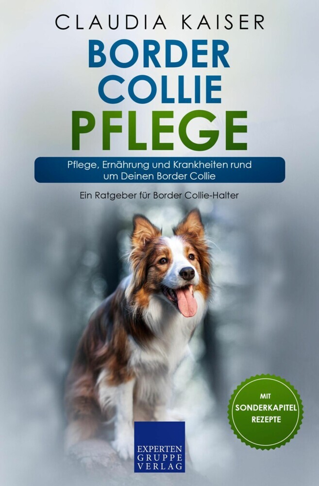 Border Collie Pflege main product photo