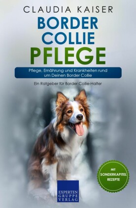 Border Collie Pflege