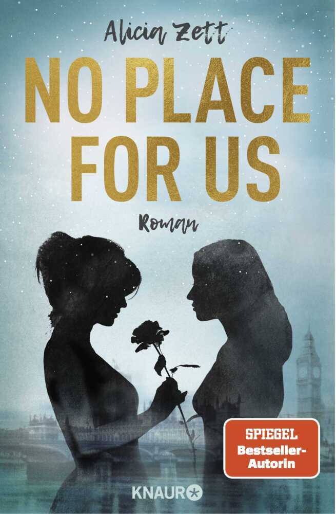 No Place For Us main product photo