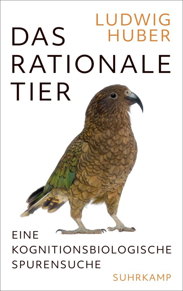 Das rationale Tier main product photo