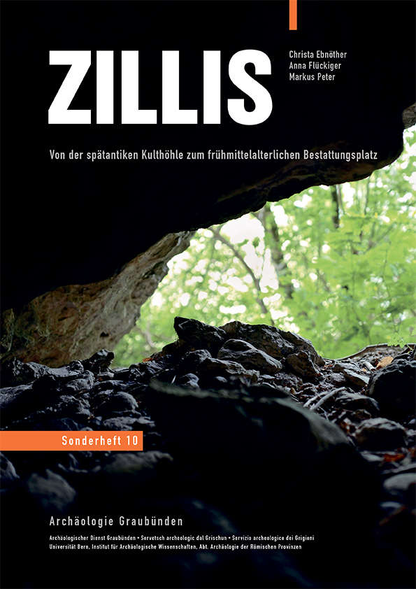 Zillis main product photo