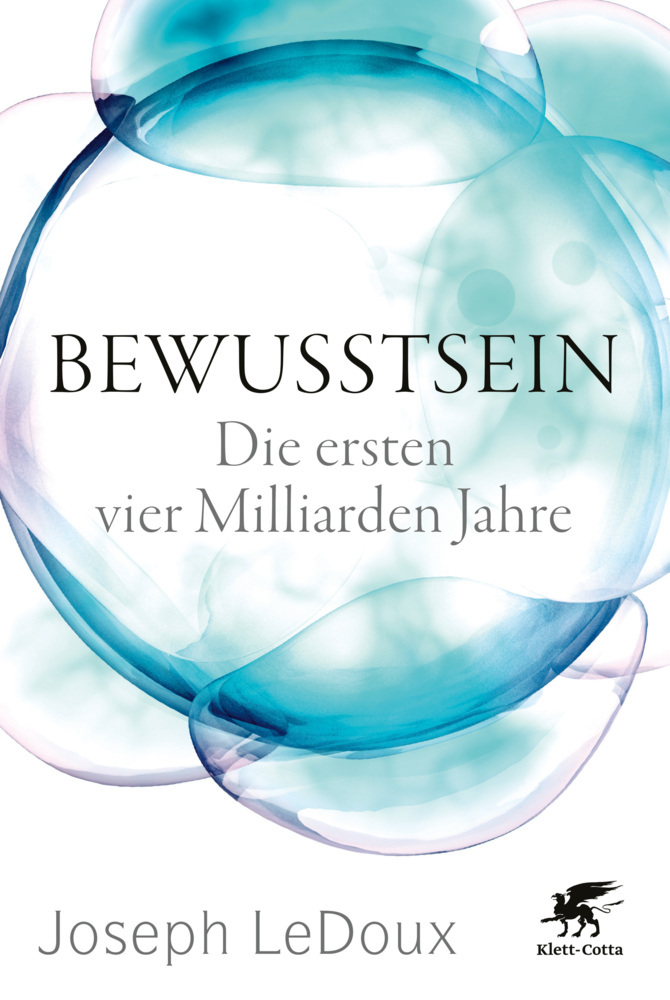 Bewusstsein main product photo
