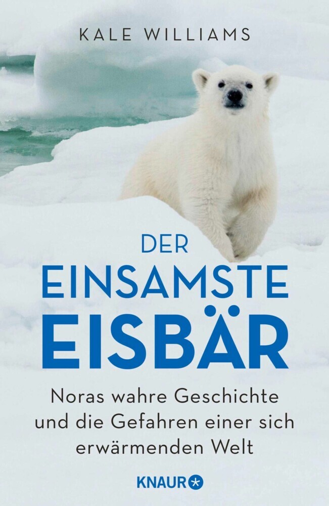 Der einsamste Eisbär main product photo