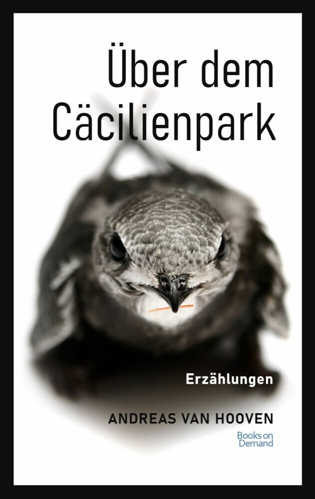 Über dem Cäcilienpark main product photo