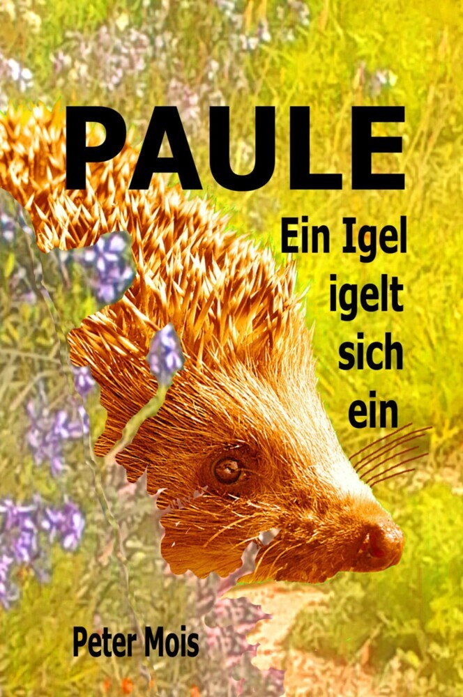 P A U L E main product photo