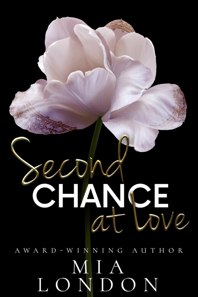 Second Chance At Love main product photo