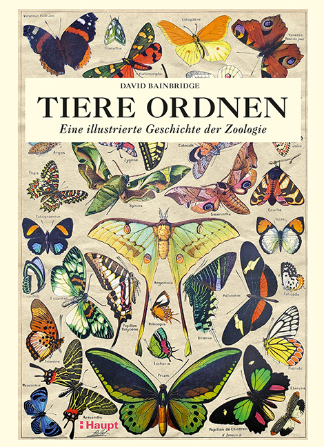 Tiere ordnen main product photo