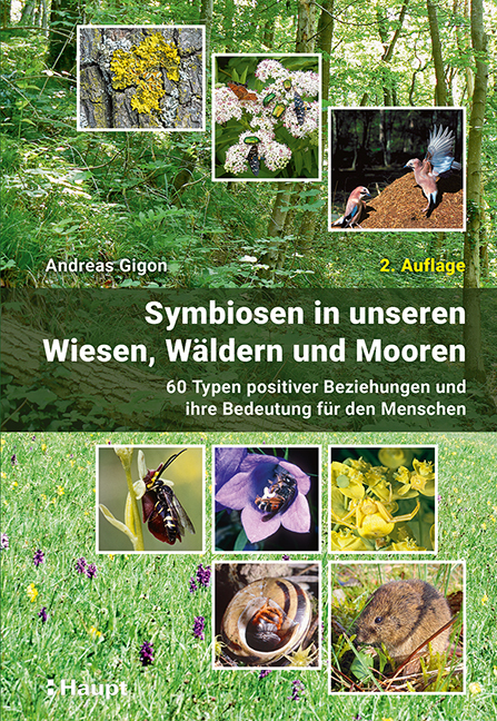 Symbiosen in unseren Wiesen, Wäldern und Mooren main product photo