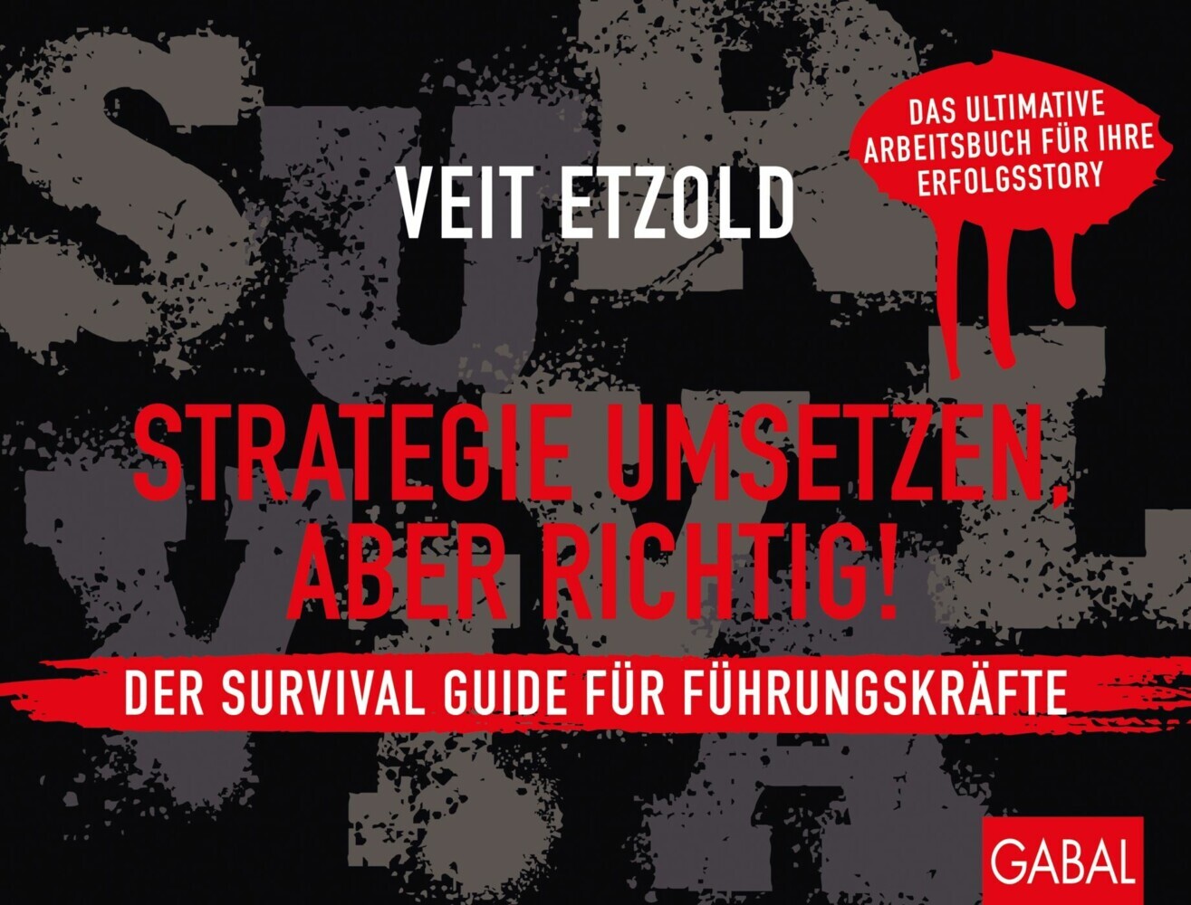 Strategie umsetzen, aber richtig! Der Survival Guide für Führungskräfte main product photo