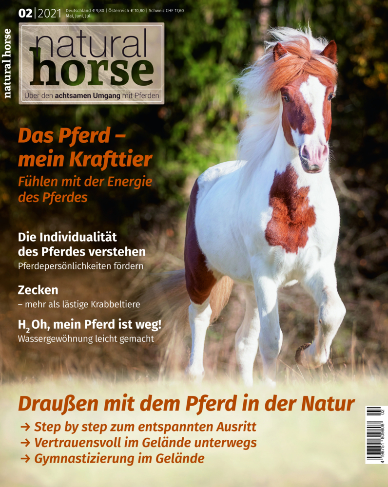 Natural Horse 34 main product photo