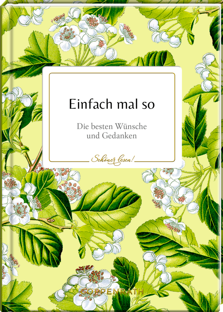 Einfach mal so main product photo