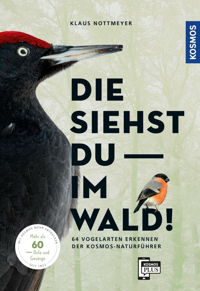 Die siehst du im Wald! 64 Vogelarten erkennen main product photo