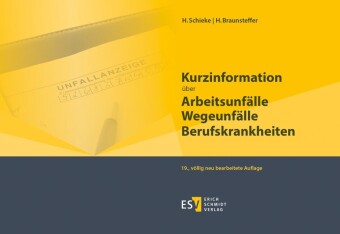 Kurzinformation über Arbeitsunfälle Wegeunfälle Berufskrankheiten