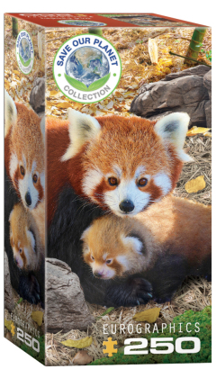 Rote Pandas (Puzzle)