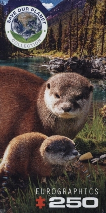 Otter (Puzzle)