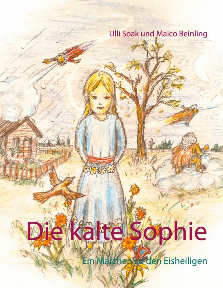 Die kalte Sophie main product photo