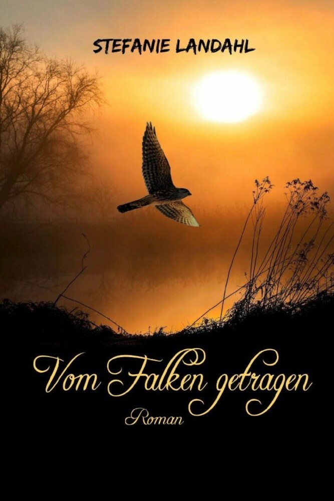 Vom Falken getragen Teil 1 main product photo