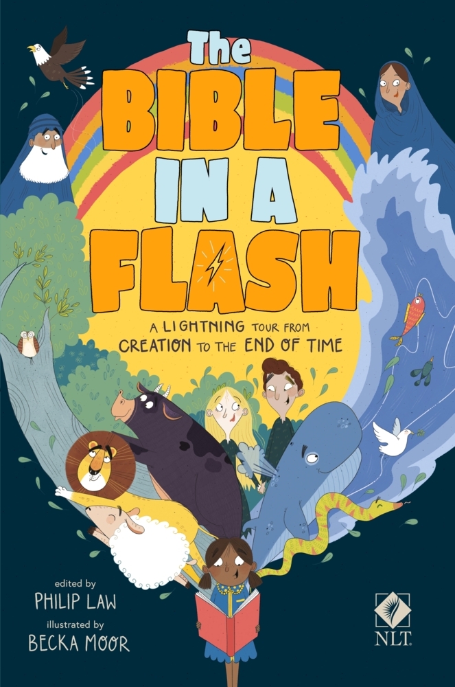The Bible in a Flash main product photo