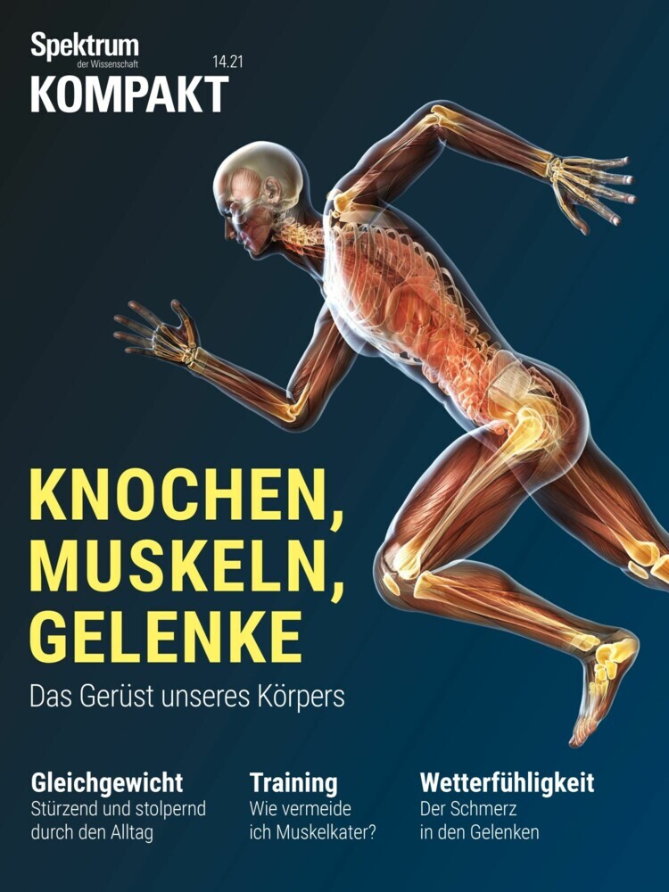 Spektrum Kompakt - Knochen, Muskeln, Gelenke main product photo