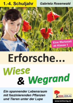 Erforsche Wiese und Wegrand