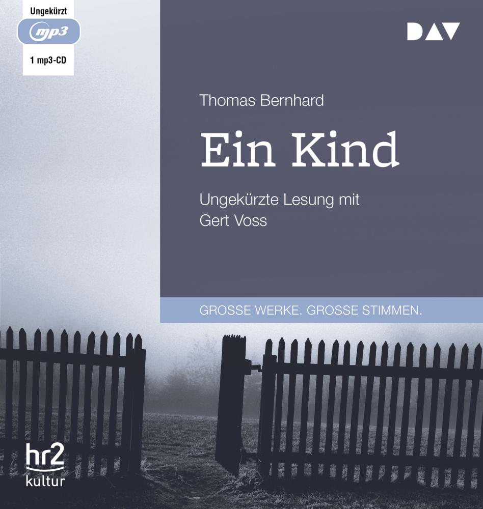 Ein Kind, 1 Audio-CD, 1 MP3 main product photo