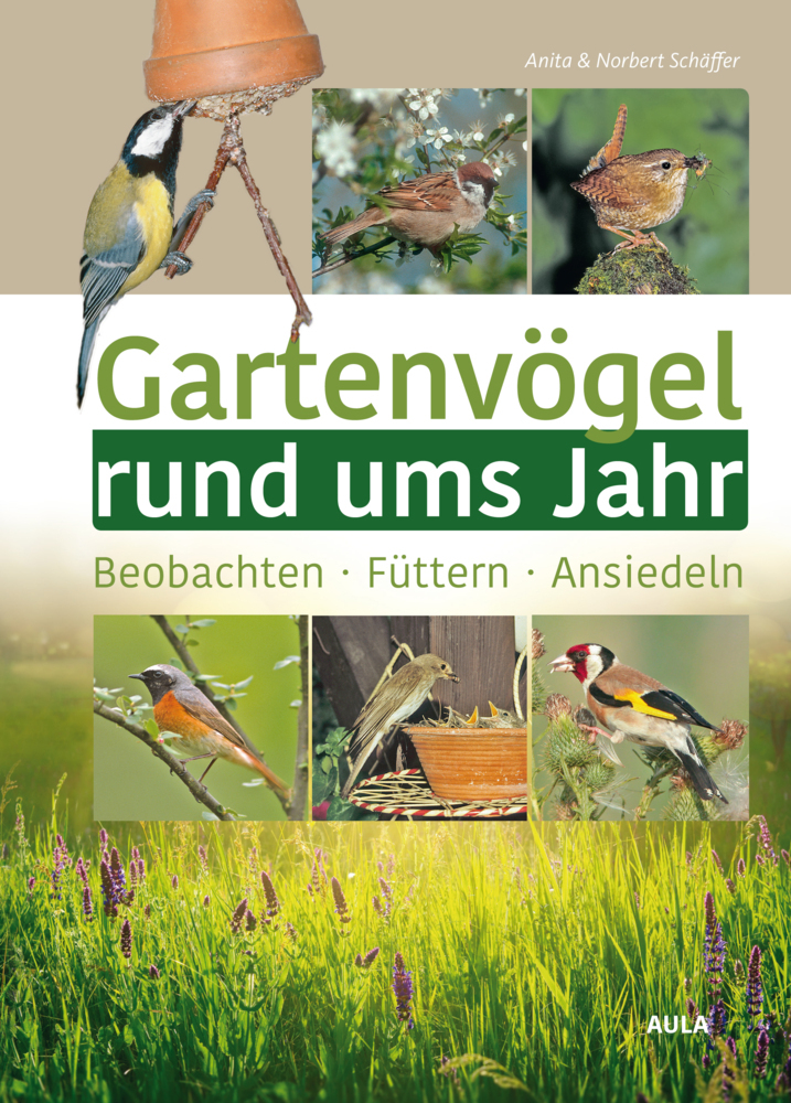 Gartenvögel rund ums Jahr main product photo