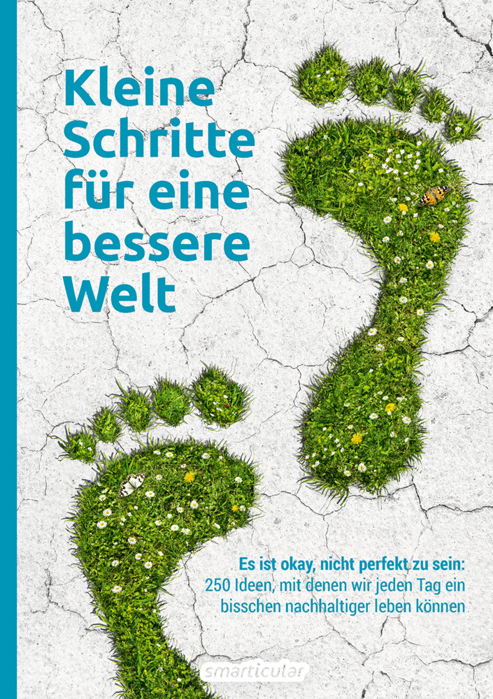 Kleine Schritte für eine bessere Welt main product photo