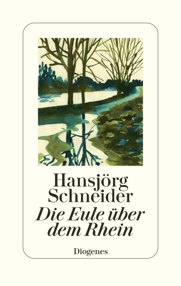 Die Eule über dem Rhein main product photo