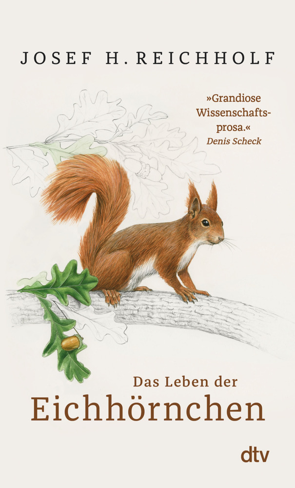 Das Leben der Eichhörnchen main product photo