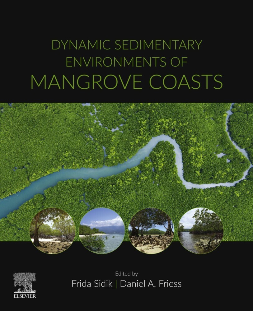 Dynamic Sedimentary Environments of Mangrove Coasts main product photo