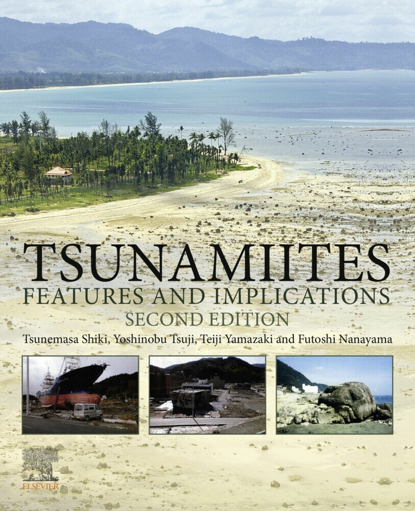 Tsunamiites main product photo