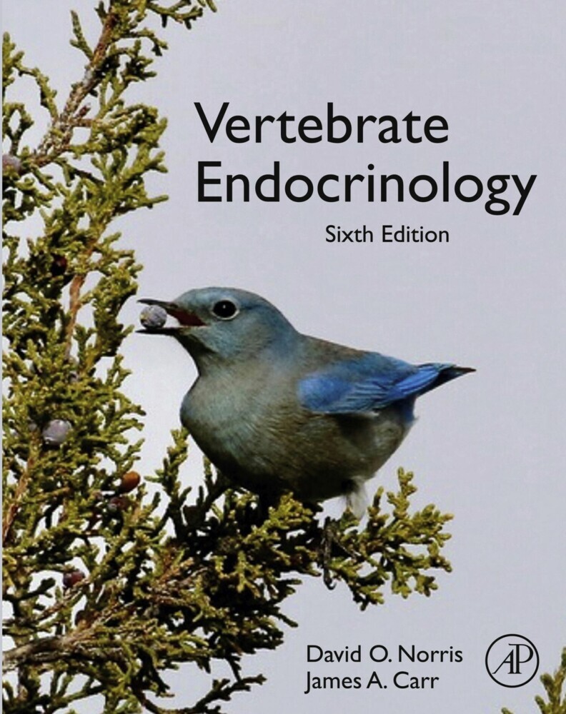 Vertebrate Endocrinology main product photo