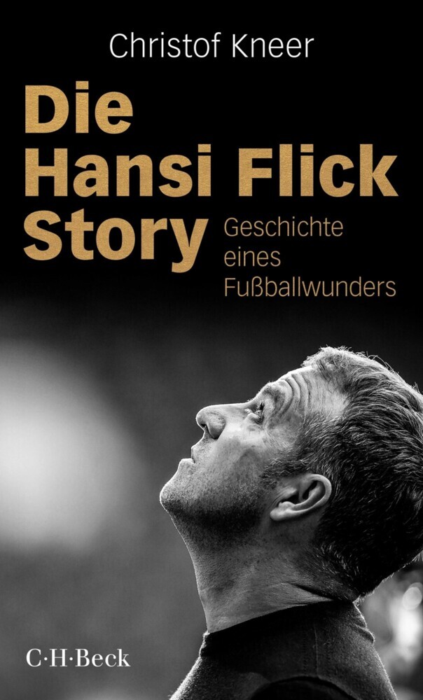 Die Hansi Flick Story main product photo