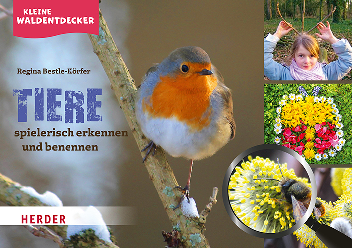 Kleine Waldentdecker: Tiere main product photo