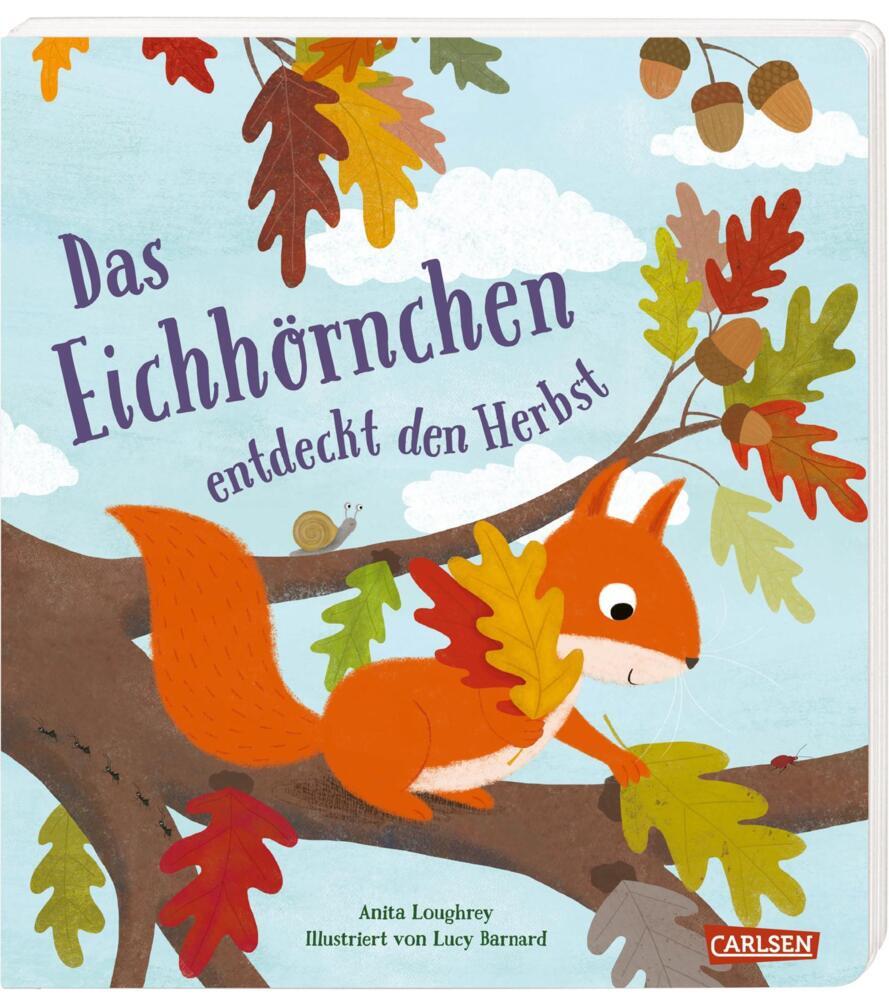 Das Eichhörnchen entdeckt den Herbst main product photo