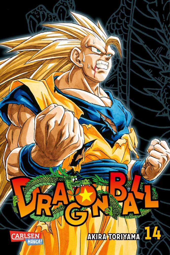 Dragon Ball Massiv. Bd.14 main product photo