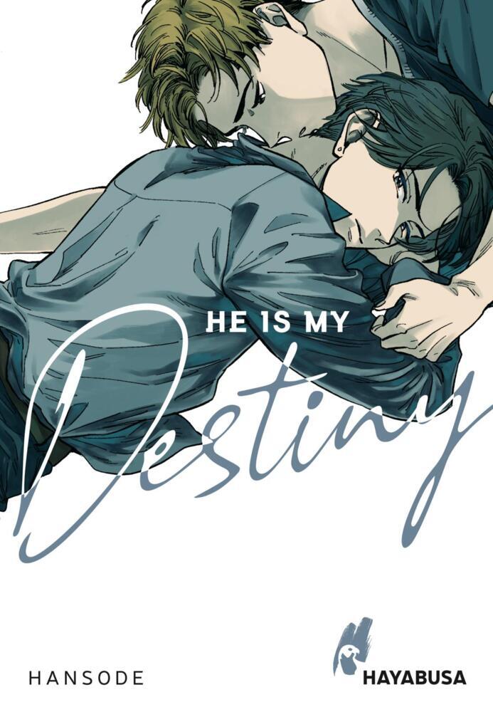 He is my Destiny main product photo