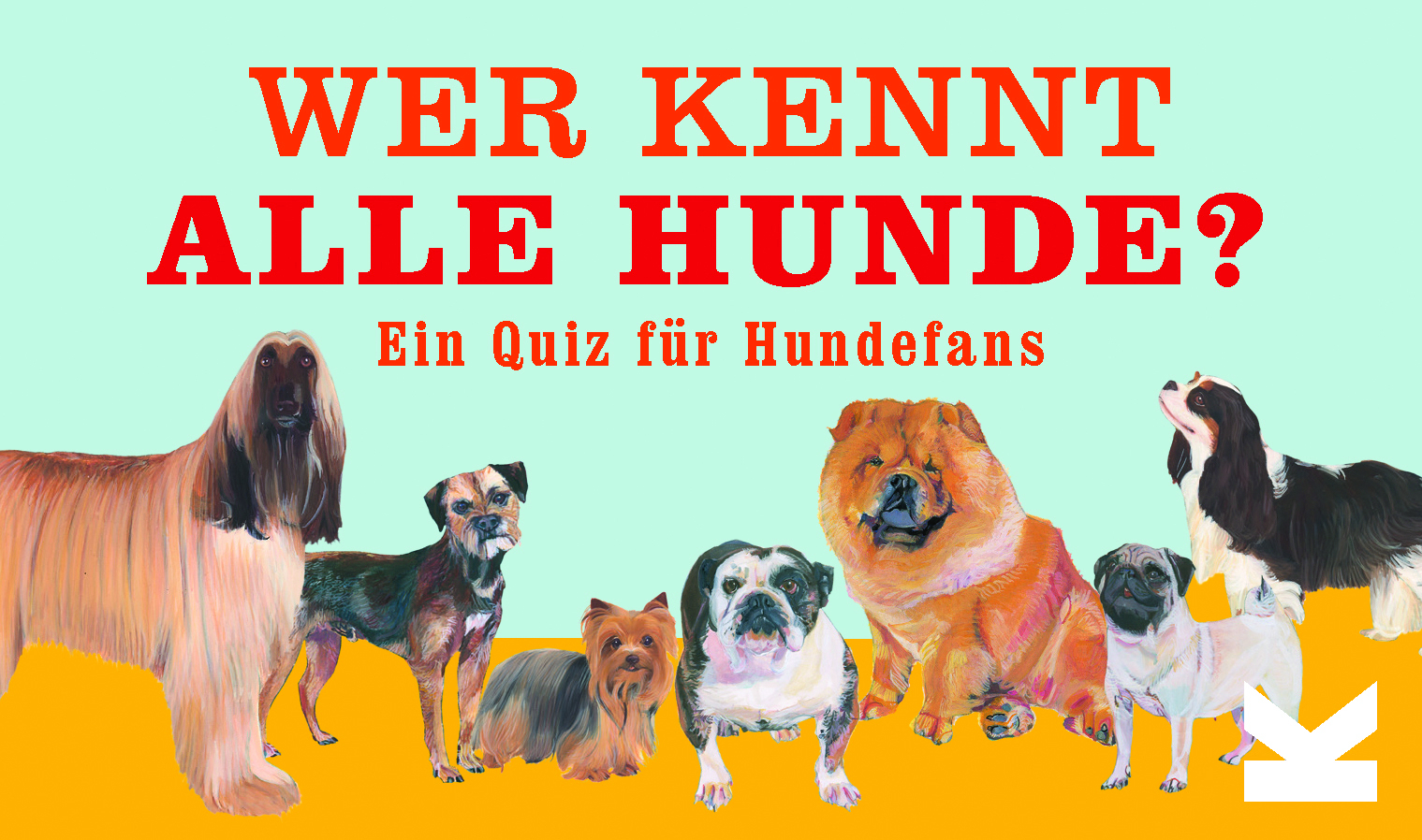 Wer kennt alle Hunde? main product photo
