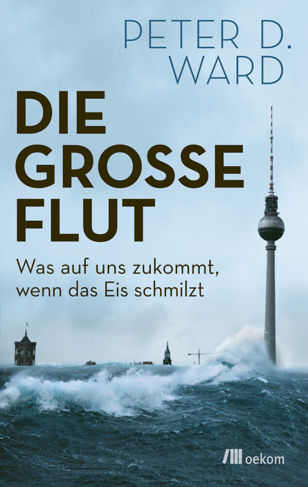 Die große Flut main product photo