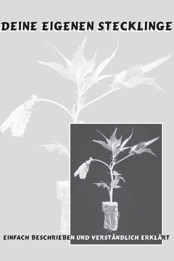 Deine eigenen Stecklinge main product photo