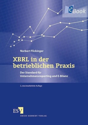 XBRL in der betrieblichen Praxis
