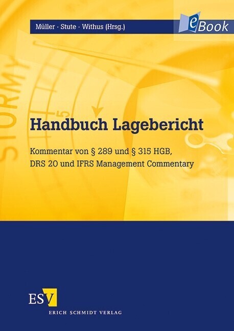Handbuch Lagebericht main product photo