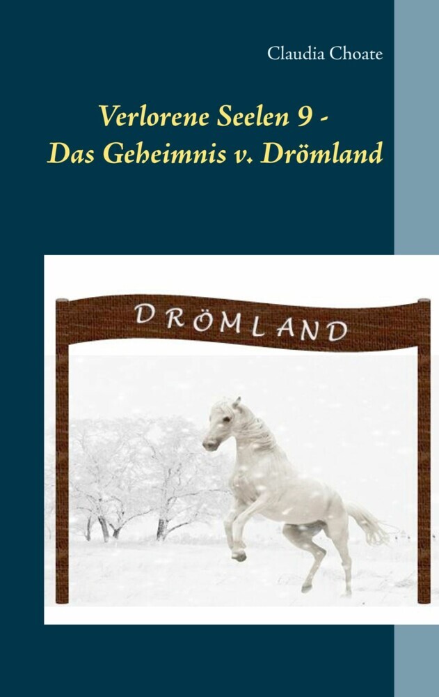 Verlorene Seelen 9 - Das Geheimnis von Drömland main product photo