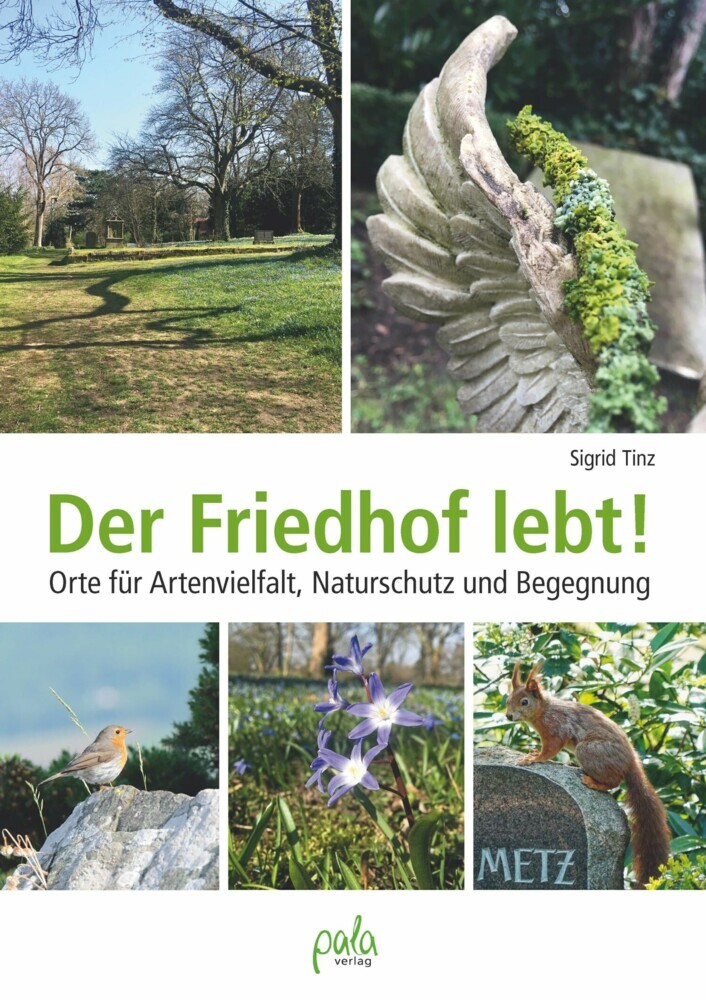 Der Friedhof lebt! main product photo