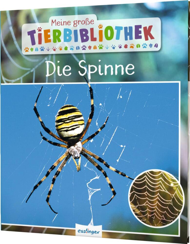 Meine große Tierbibliothek: Die Spinne main product photo