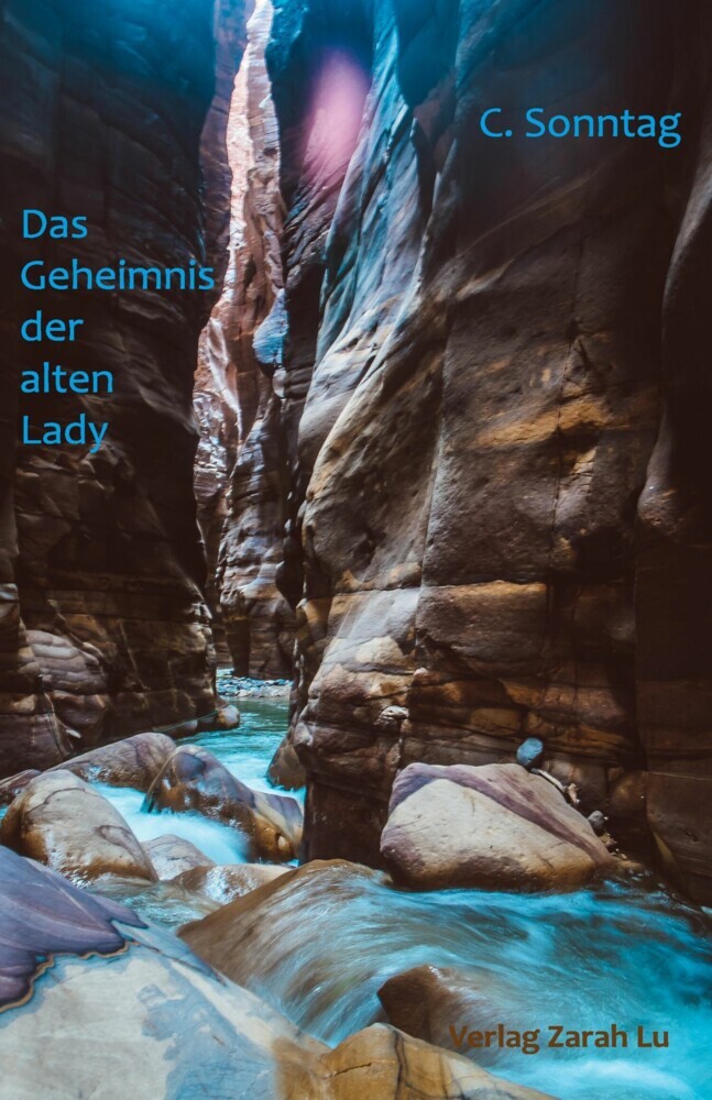 Das Geheimnis der alten Lady main product photo