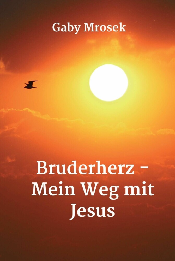 Bruderherz - Mein Weg mit Jesus main product photo