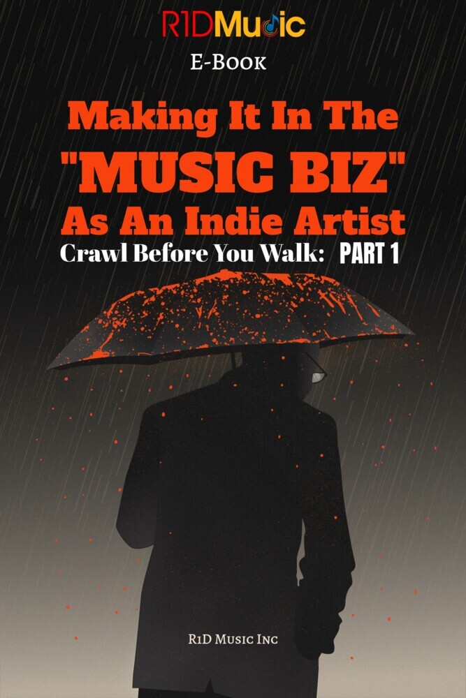 How To Make It In The Music Biz main product photo