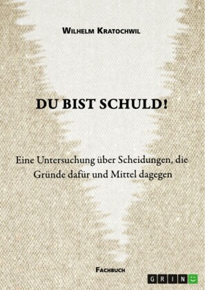 Du bist schuld! Eine Untersuchung über Scheidungen, die Gründe dafür und Mittel dagegen